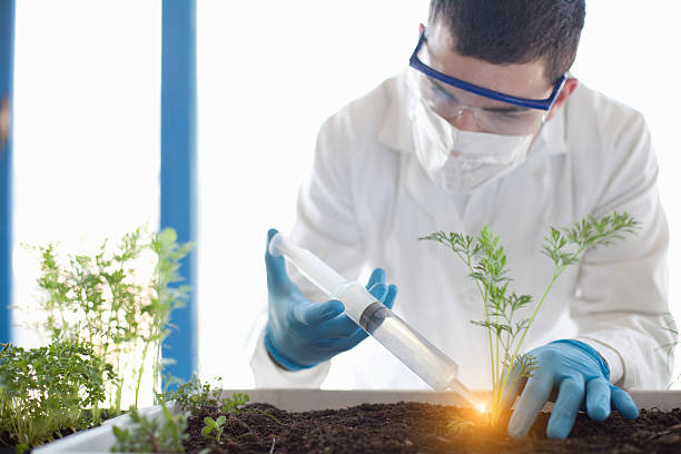 Chemists extracting phytochmical substances from a plant